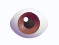 13.png